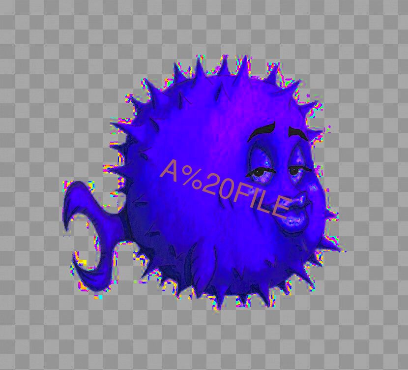 A FILE